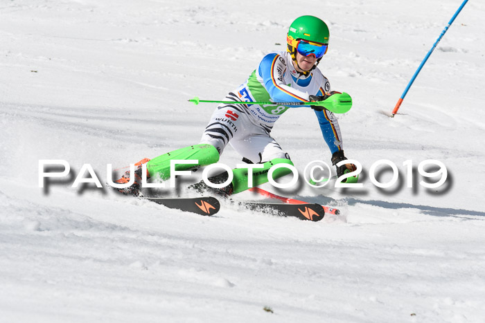 FIS Slalom Damen + NJR Herren, Lenggries 03.03.2019