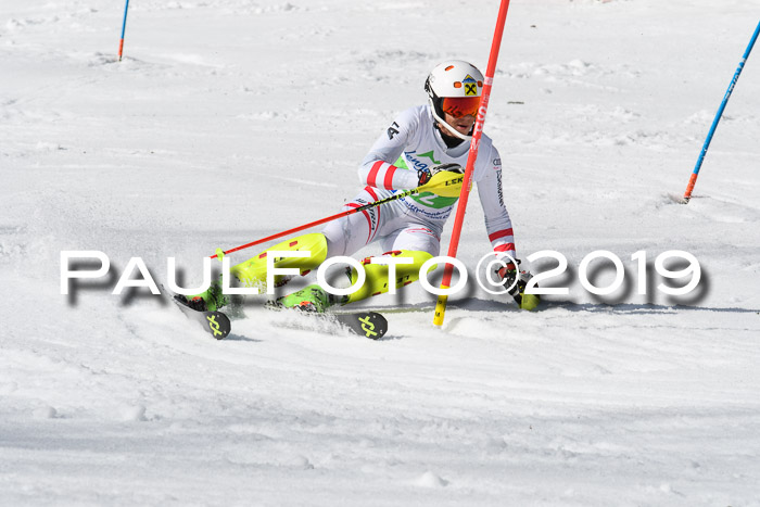 FIS Slalom Damen + NJR Herren, Lenggries 03.03.2019