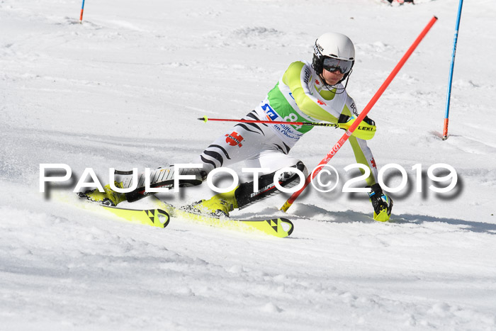 FIS Slalom Damen + NJR Herren, Lenggries 03.03.2019
