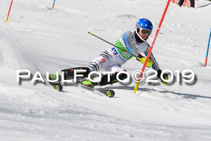 FIS Slalom Damen + NJR Herren, Lenggries 03.03.2019
