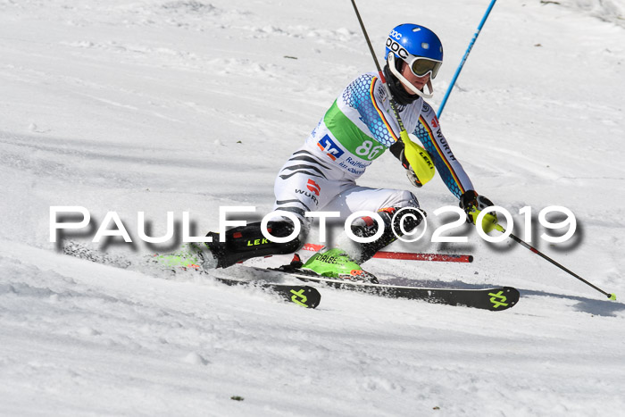 FIS Slalom Damen + NJR Herren, Lenggries 03.03.2019