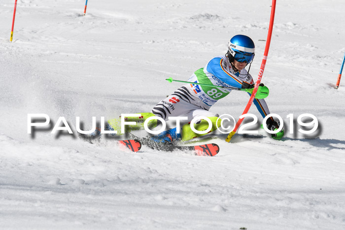 FIS Slalom Damen + NJR Herren, Lenggries 03.03.2019