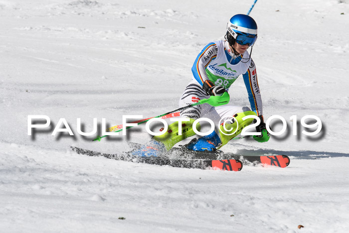 FIS Slalom Damen + NJR Herren, Lenggries 03.03.2019