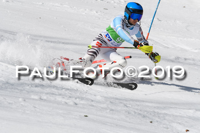 FIS Slalom Damen + NJR Herren, Lenggries 03.03.2019
