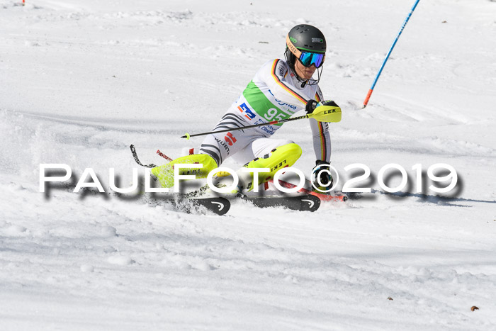 FIS Slalom Damen + NJR Herren, Lenggries 03.03.2019