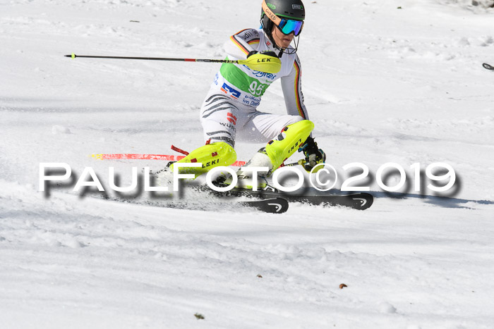 FIS Slalom Damen + NJR Herren, Lenggries 03.03.2019