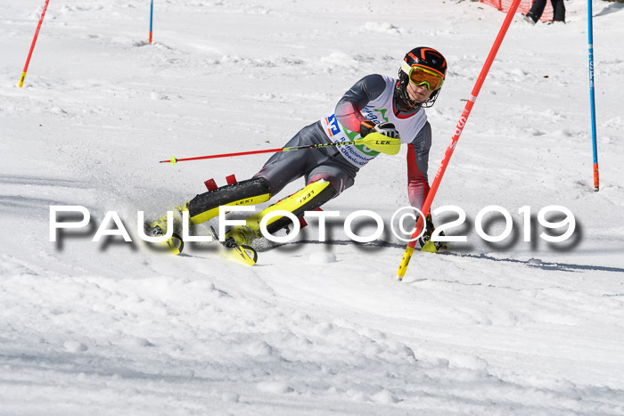 FIS Slalom Damen + NJR Herren, Lenggries 03.03.2019