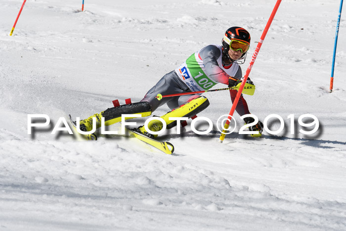 FIS Slalom Damen + NJR Herren, Lenggries 03.03.2019