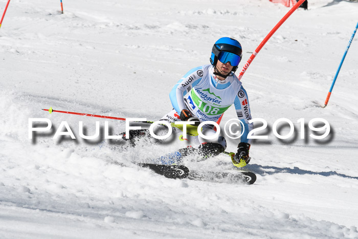 FIS Slalom Damen + NJR Herren, Lenggries 03.03.2019