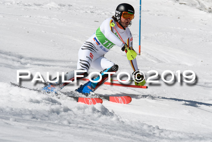 FIS Slalom Damen + NJR Herren, Lenggries 03.03.2019