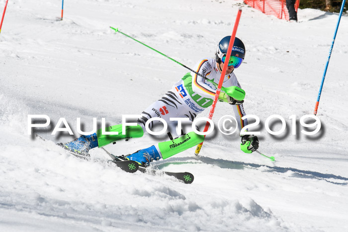 FIS Slalom Damen + NJR Herren, Lenggries 03.03.2019