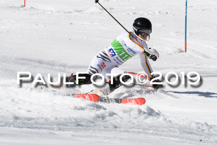 FIS Slalom Damen + NJR Herren, Lenggries 03.03.2019