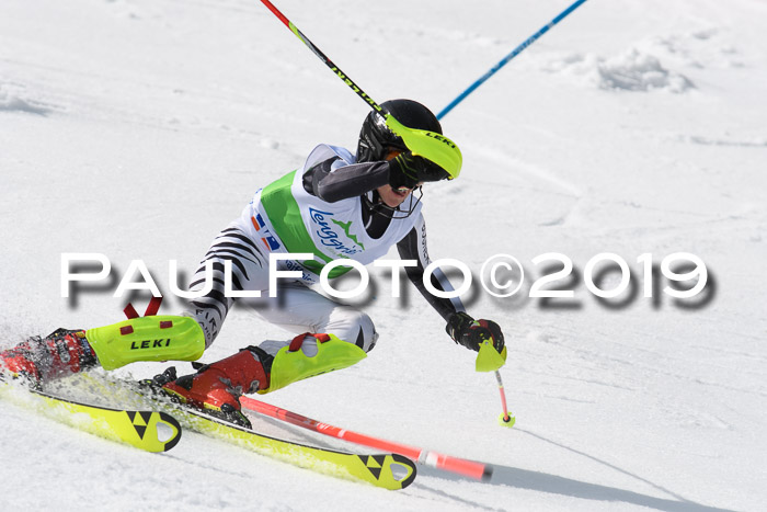 FIS Slalom Damen + NJR Herren, Lenggries 03.03.2019