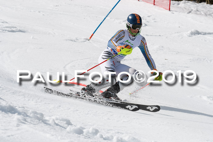 FIS Slalom Damen + NJR Herren, Lenggries 03.03.2019