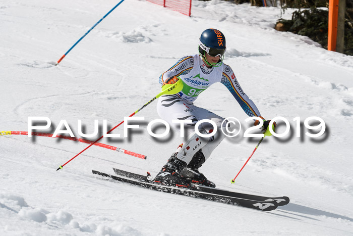 FIS Slalom Damen + NJR Herren, Lenggries 03.03.2019