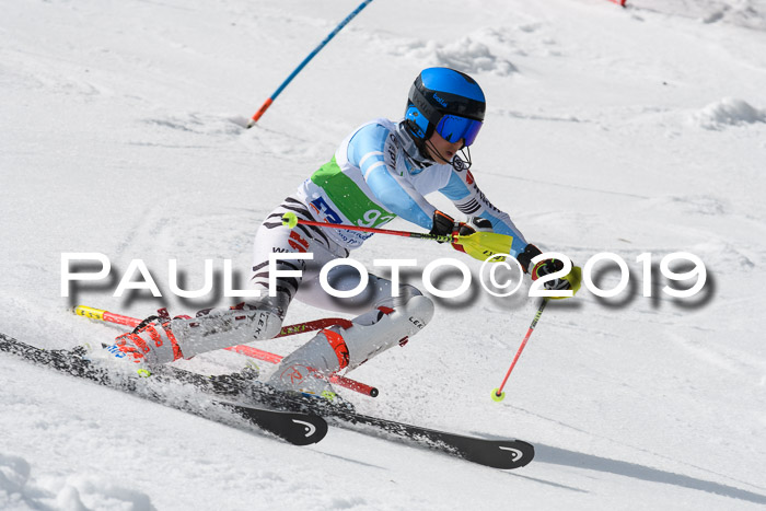 FIS Slalom Damen + NJR Herren, Lenggries 03.03.2019