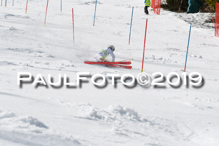 FIS Slalom Damen + NJR Herren, Lenggries 03.03.2019