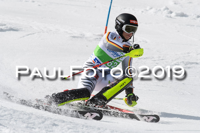 FIS Slalom Damen + NJR Herren, Lenggries 03.03.2019