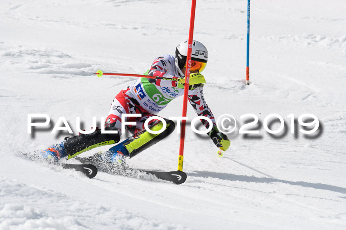 FIS Slalom Damen + NJR Herren, Lenggries 03.03.2019