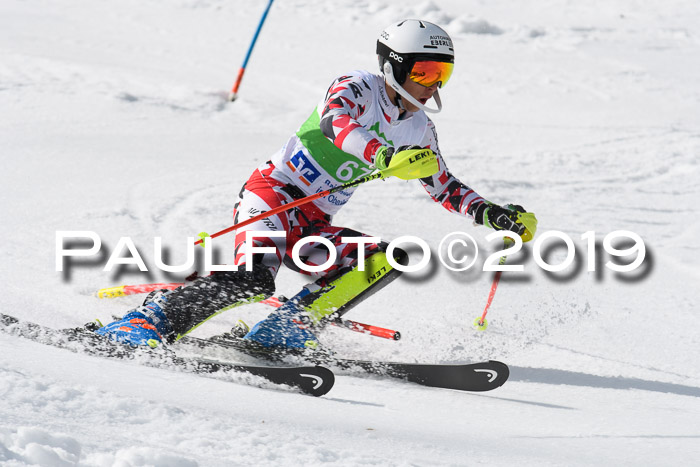 FIS Slalom Damen + NJR Herren, Lenggries 03.03.2019