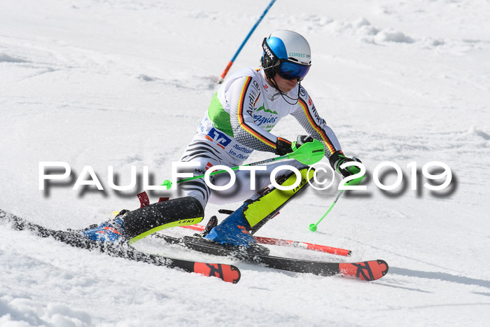 FIS Slalom Damen + NJR Herren, Lenggries 03.03.2019