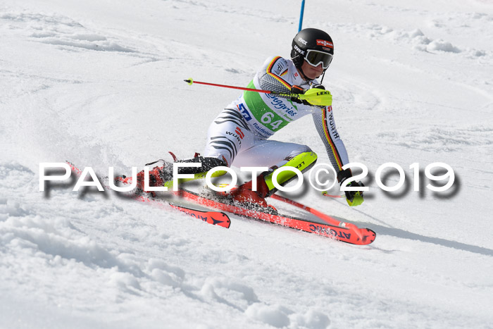 FIS Slalom Damen + NJR Herren, Lenggries 03.03.2019