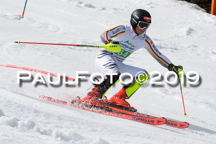 FIS Slalom Damen + NJR Herren, Lenggries 03.03.2019