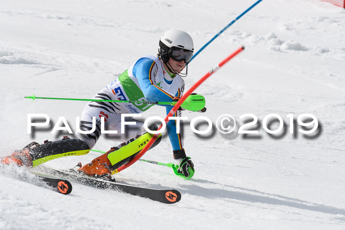 FIS Slalom Damen + NJR Herren, Lenggries 03.03.2019