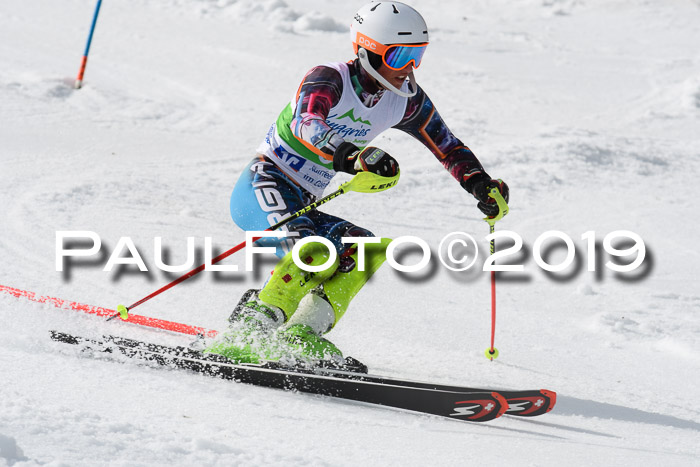FIS Slalom Damen + NJR Herren, Lenggries 03.03.2019