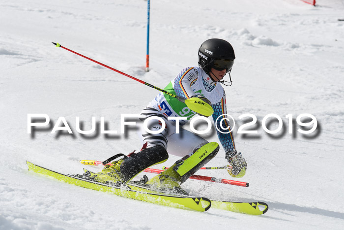 FIS Slalom Damen + NJR Herren, Lenggries 03.03.2019