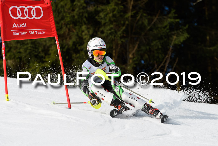 DSV Deutscher Schülercup U12 Finale 2019, Slalom Cross 03.03.2019