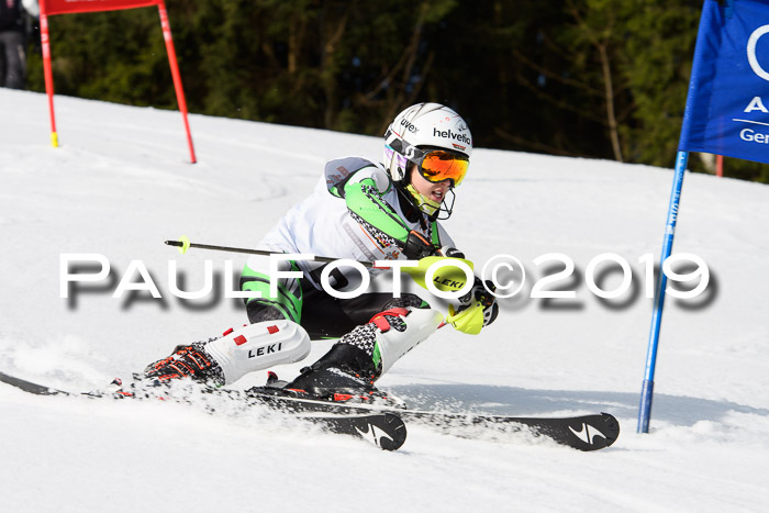 DSV Deutscher Schülercup U12 Finale 2019, Slalom Cross 03.03.2019