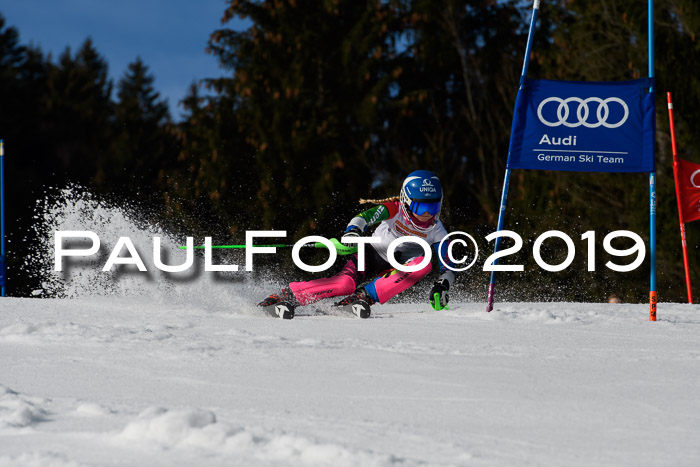 DSV Deutscher Schülercup U12 Finale 2019, Slalom Cross 03.03.2019