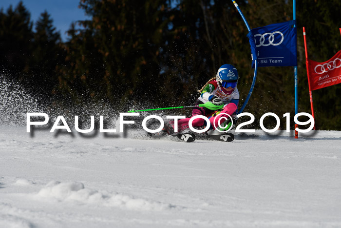 DSV Deutscher Schülercup U12 Finale 2019, Slalom Cross 03.03.2019