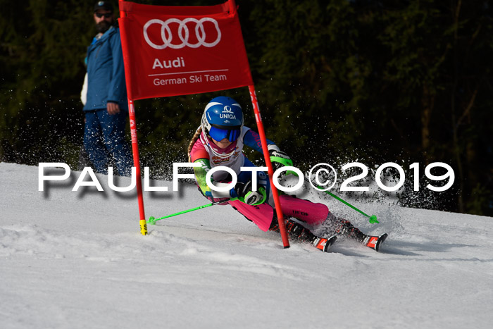 DSV Deutscher Schülercup U12 Finale 2019, Slalom Cross 03.03.2019