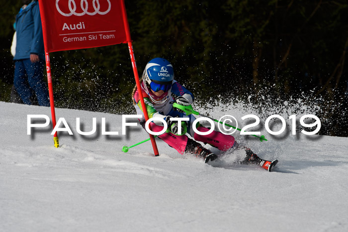 DSV Deutscher Schülercup U12 Finale 2019, Slalom Cross 03.03.2019