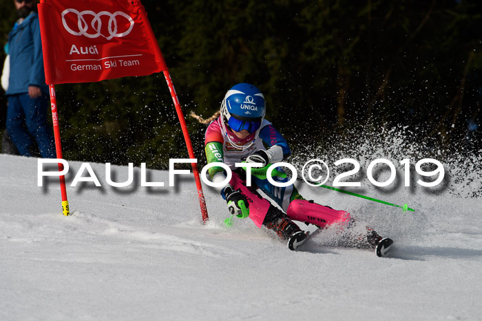 DSV Deutscher Schülercup U12 Finale 2019, Slalom Cross 03.03.2019