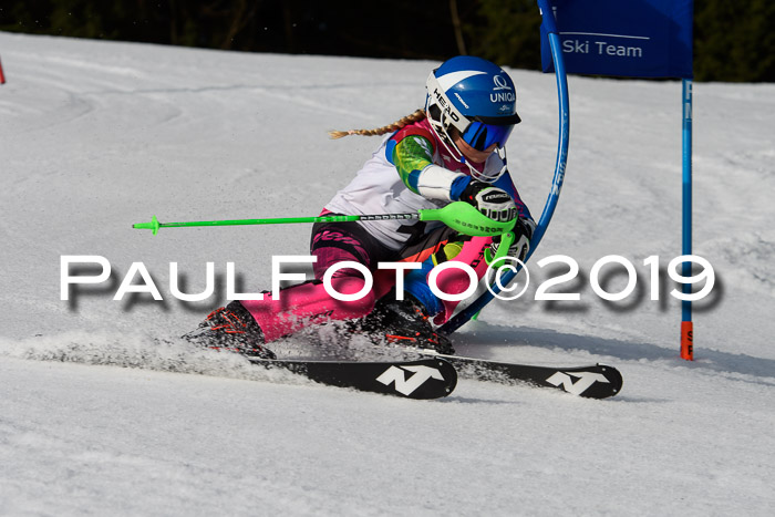 DSV Deutscher Schülercup U12 Finale 2019, Slalom Cross 03.03.2019