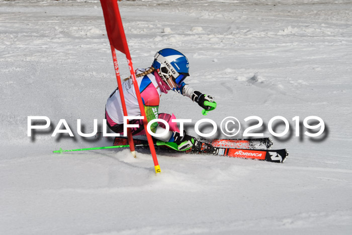 DSV Deutscher Schülercup U12 Finale 2019, Slalom Cross 03.03.2019