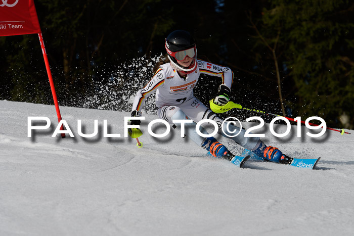 DSV Deutscher Schülercup U12 Finale 2019, Slalom Cross 03.03.2019