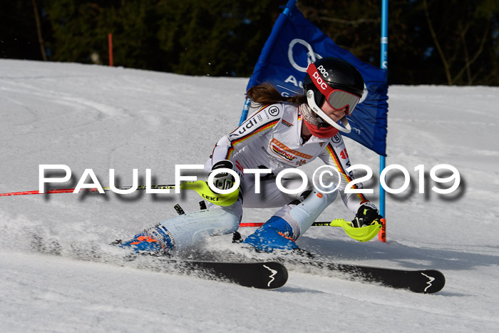 DSV Deutscher Schülercup U12 Finale 2019, Slalom Cross 03.03.2019