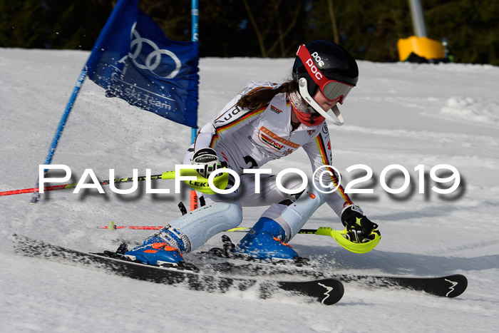 DSV Deutscher Schülercup U12 Finale 2019, Slalom Cross 03.03.2019