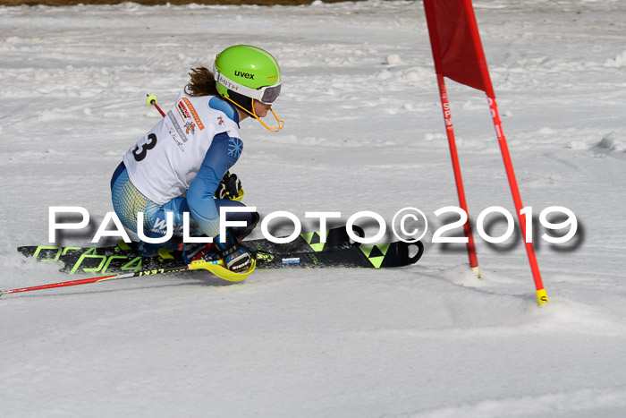 DSV Deutscher Schülercup U12 Finale 2019, Slalom Cross 03.03.2019