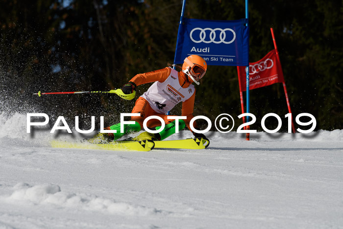 DSV Deutscher Schülercup U12 Finale 2019, Slalom Cross 03.03.2019