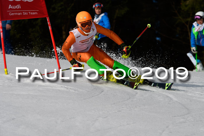 DSV Deutscher Schülercup U12 Finale 2019, Slalom Cross 03.03.2019
