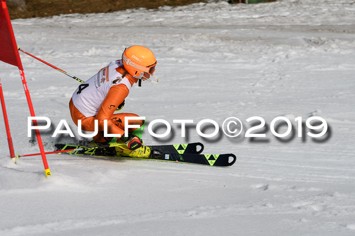 DSV Deutscher Schülercup U12 Finale 2019, Slalom Cross 03.03.2019