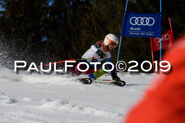 DSV Deutscher Schülercup U12 Finale 2019, Slalom Cross 03.03.2019