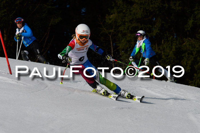 DSV Deutscher Schülercup U12 Finale 2019, Slalom Cross 03.03.2019