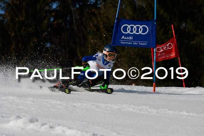 DSV Deutscher Schülercup U12 Finale 2019, Slalom Cross 03.03.2019