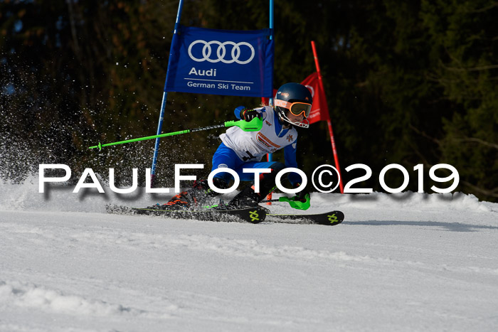 DSV Deutscher Schülercup U12 Finale 2019, Slalom Cross 03.03.2019